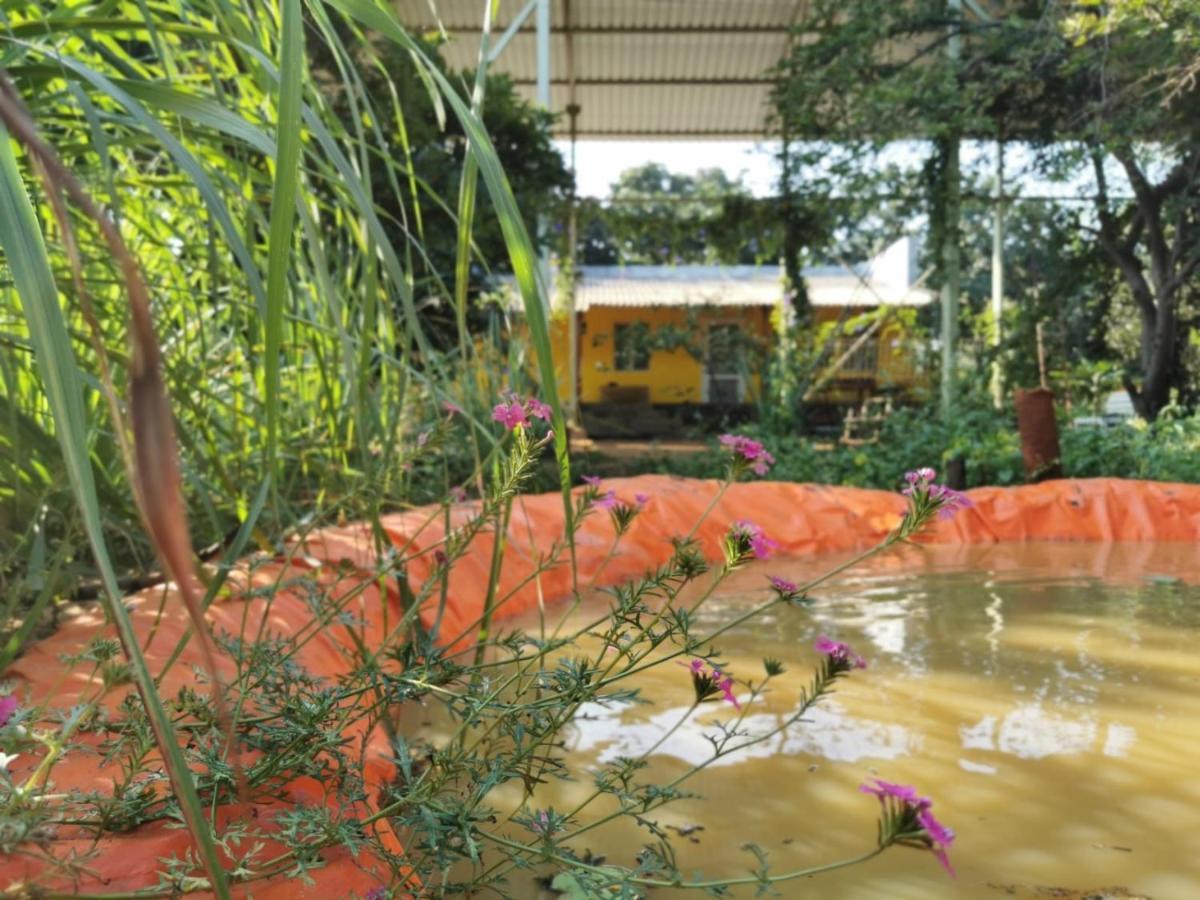 Hornbill Farm Resort 하이데라바드 외부 사진