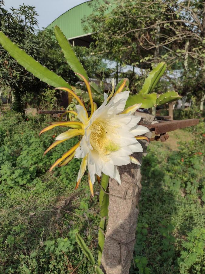Hornbill Farm Resort 하이데라바드 외부 사진